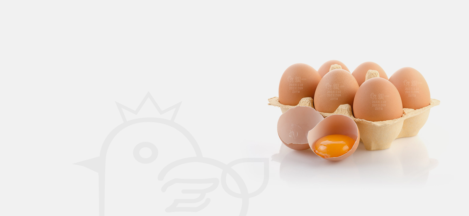 可生食鲜鸡蛋