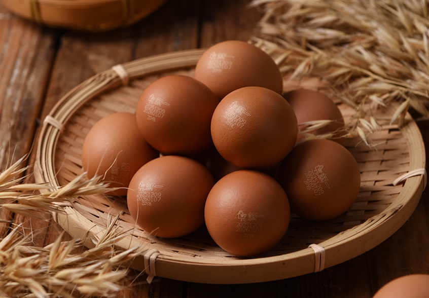 营养全垒打：鸡蛋里的青春能量包